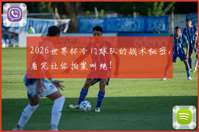 2026世界杯冷门球队的战术秘密,看完让你拍案叫绝!