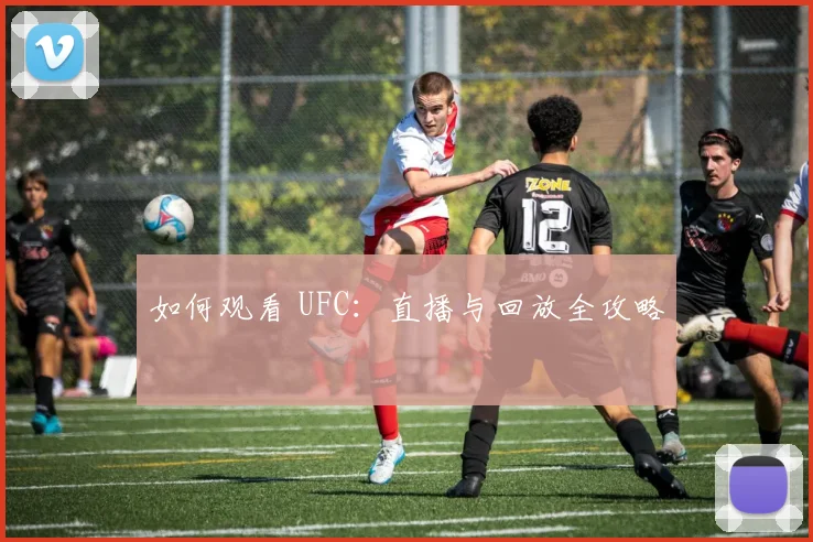 如何观看 UFC：直播与回放全攻略