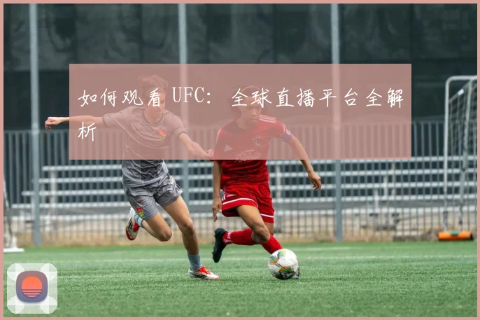 如何观看 UFC：全球直播平台全解析