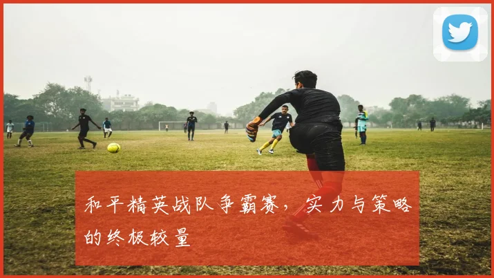 和平精英战队争霸赛，实力与策略的终极较量